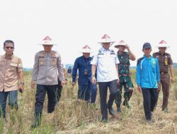 Banyuasin Siapkan Grand Design Pertanian Untuk 10 Tahun Kedepan Pj Bupati Banyuasin, Hani Syopiar Rustam