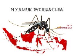 Sebar Nyamuk Wolbachia di 5 Kota : Jakarta Barat hingga Kupang
