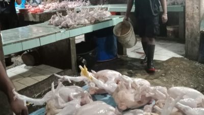 Jelang Tahun Baru, Harga Ayam Potong di Pasar Inpres Lhokseumawe Mulai Naik