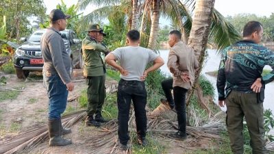 Di Tarik Buaya, Remaja di Tanjung Sari,Hampir Tenggelam .Camat Talang Kelapa dan BKSDA Turun Lokasi