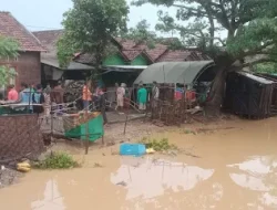 Ramai-Ramai Berenang Saat Hujan, Seorang Bocah Desa Puncel Pati Tewas Tenggelam  di Kubangan Air