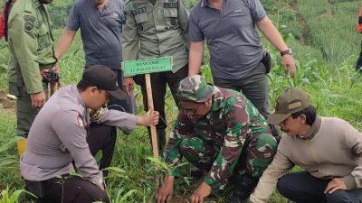 Minimalisir  Banjir,  Kodim 0713 Brebes Bersama Ormas Tanam Pohon Dilahan Gundul dan Rawan Longsor