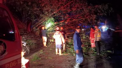 Tertutup Pohon Bambu dan Tanah Longsor, Akses Jalan Nasional Tegal-Purwokerto Macet, Petugas Gabungan Lakukan Evakuasi