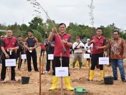 Polda Babel Tanam 1.870 Jenis  Kayu Putih Dilahan Eks Tambang Di Area Bandara