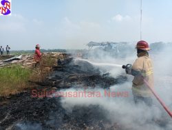 Tempat Penampungan Kayu milik Kades di Kedungreja Cilacap Terbakar