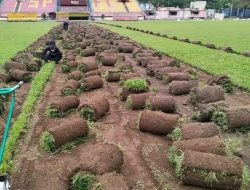 Pergantian Rumput Di Gor Haji Agus Salim,Serta Merenovasi Fasilitas laennya