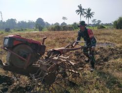 Serka Mansur di Garda Depan Ketahanan Pangan Desa Pendem Bantu Petani Bajak Sawah