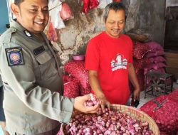 Para Penggiat Ritel Bawang Merah Di Blitar Mengalami Penumpukan Stok Brambang