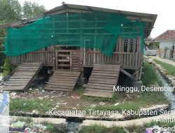 LSM Geram Banten Indonesia, Temukan Dugaan Penyimpangan Anggaran Pemberdayaan Ternak Kambing Dan Bebek Peking Di Desa Tengkurak