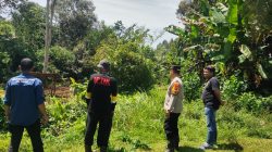 Kapolsek Cibadak Beserta Anggota Giat Kordinasi dan Komunikasi Launcing Penanaman Jagung Mendukung Percepatan Swasembada 2025